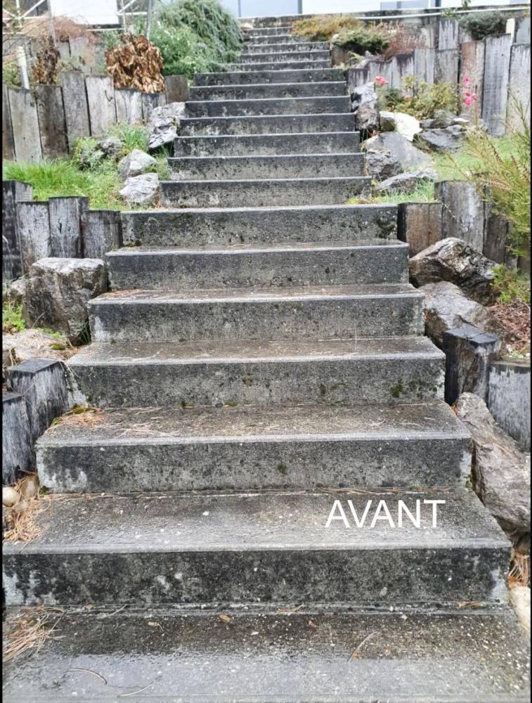 escalier-pierre